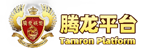 腾龙国际公司